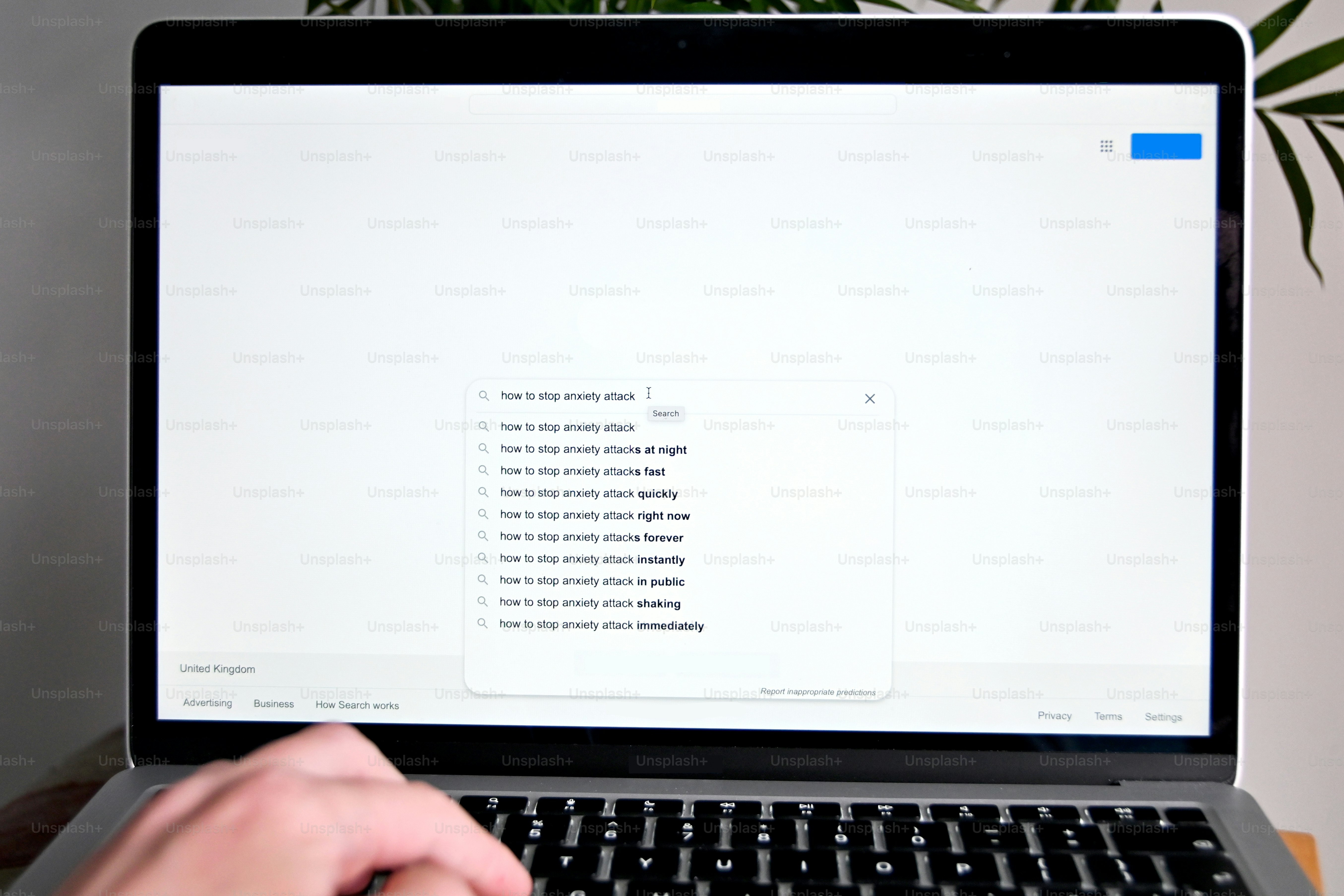 a person typing on a laptop with a plant in the background